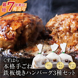 【ふるさと納税】 レビューキャンペーン くずはら 本格手ごね鉄板焼きハンバーグ3種（デミ、オニオン、塩バターレモン） 最短発送 ハンバーグ専門店 贈り物 おうちごはん 冷凍 惣菜 送料無料 《福智町チャンス》