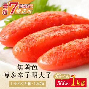 yӂ邳Ɣ[ŁzF hqq LTCY 1{ 500g`1kg 1{ ߂񂽂 500g 500g×2   q  U86-03 U86-06