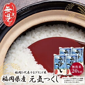 【ふるさと納税】福岡の人気銘柄!!無洗米 福岡県産・元気つくし20kg お米 白米 送料無料 P17-23
