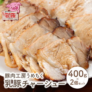 yӂ邳Ɣ[Łz `[V[800g ؓH[߂  uh ubN Mtg Y  U04-12-01