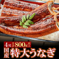 【ふるさと納税】 国産うなぎ蒲焼特大サイズ4尾（計800g以上）鰻蒲焼用タ...