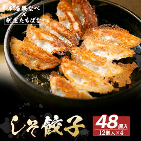 【ふるさと納税】本店鉄なべ×割烹たちばな しそ餃子48個 一口 老舗 割烹 名店 ご当地グルメ 薄皮 送料無料 U02-13-01 【上野焼チャンス】