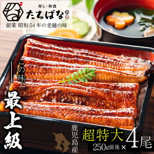 【ふるさと納税】老舗たちばな 鰻蒲焼(250g前後)×4尾 うなぎ 尾頭付 タレ付 鹿児島県産 ウナギ 送料無料