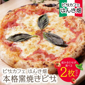 【ふるさと納税】 げんき畑 ピザ 2枚セット<赤のマルゲリータ&お好みのピザ>2枚セット 最短発送 ピッツァ ピザ 専門店 食べ比べ セット 手作り 惣菜 人気 簡単 冷凍