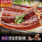 容量選べる 国産うなぎ蒲焼大サイズ 2尾 4尾 6尾 鰻蒲焼用タレ・山椒付 うなぎ生産量日本一鹿児島県産・宮崎県産・熊本県産 父の日 丑の日 P61