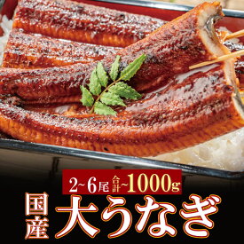 【ふるさと納税】容量選べる 国産うなぎ蒲焼大サイズ 2尾 4尾 6尾 土用の丑の日までにお届け 鰻鰻蒲焼用タレ・山椒付 うなぎ生産量日本一鹿児島県産・宮崎県産・熊本県産 父の日 丑の日 P61