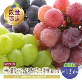 【ふるさと納税】2025年発送 季節のぶどう3種セット 約1.5kg フルーツ ぶどう 葡萄 福岡県 福智町産 ブランド 果実 先行予約 送料無料 《 予約受付 》U20-03-01 【上野焼チャンス】