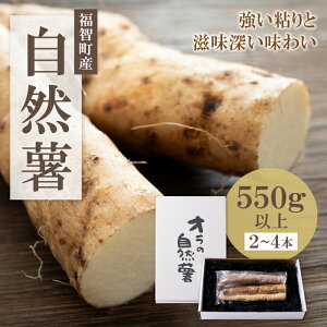 yӂ邳Ɣ[ŁzyqYzI̎R(Jbg 550gȏj R Ƃ NH ˂񂶂 yY j v[g Mtg Ε  q Y BY   O