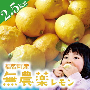 yӂ邳Ɣ[Łz{12ȍ~ qY _򃌃 2.5kg 16`20 Y S ʌ Ԍ ܂ŐHׂ _   { Yn VN  l[h  L