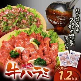 【ふるさと納税】 【訳あり】 牛ハラミ肉2種600g〜1.2kg 旨辛ダレ ねぎ塩 牛肉 焼肉 味付け肉 やきにく タレ 漬け 付き 個包装 アウトドア キャンプ 大人気 人気 BBQ 簡単 冷凍 家庭用 コスパ 福智 お試し 博多若杉 送料無料 ★レビューキャンペーン開催中★