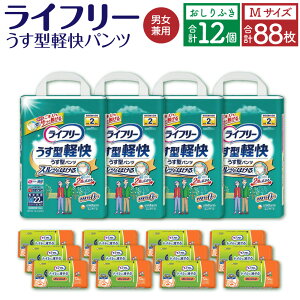 yӂ邳Ɣ[ŁzCt[ ^ ypc MTCY 22×4 v88 ӂ gCɗ 72×12pbN v2 Zbg jp jE`[ lp  c 