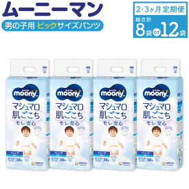 【ふるさと納税】【選べる定期便】 ムーニーマン 男の子用 ビッグサイズ 38枚×4袋 ( 2回 / 3回 ) 計304枚 計456枚 子供用 ユニ・チャーム 紙オムツ ハイウエスト パンツタイプ ベビー用品 福岡県 苅田町 送料無料