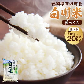 【ふるさと納税】お米農家が育てた 白川米 ( 夢つくし ) 5kg 10kg 15kg 20kg 令和7年産 白米 お米 こめ 米 ご飯 ごはん 常温 福岡県 苅田町 送料無料