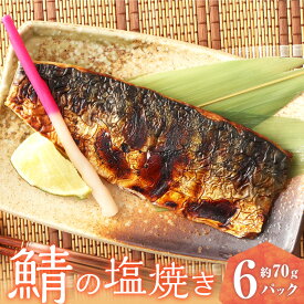 【ふるさと納税】鯖の塩焼き 6パック 約70g×6パック 合計420g 塩焼き サバ 鯖 さば 魚 レンジ レトルト 福岡県 苅田町 送料無料