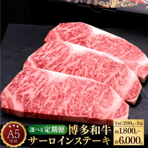 yӂ邳Ɣ[ŁzyIׂցzA5 a T[CXe[L a    Y Y T[C Xe[L Xe[L Ԑg ~ 1200g×3  3 5 10