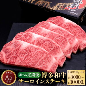 yӂ邳Ɣ[ŁzyIׂցzA5 a T[CXe[L a    Y Y T[C Xe[L Xe[L Ԑg ~ 1200g×5  3 5 10