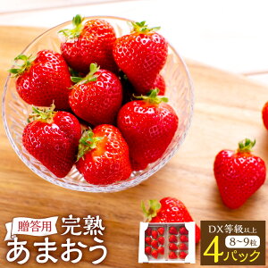 yӂ邳Ɣ[Łz n ܂ p 4pbN 250g`410g×4pbN v1kg`1.64kg  C`S  t[c ʕ 嗱  s\  c  y2026N1{-3