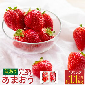 yӂ邳Ɣ[Łz 󂠂 n ܂ 4pbN 1.1kg  C`S  t[c ʕ s ӂ낢 󂠂  s\  c  y2026N2{-3{\