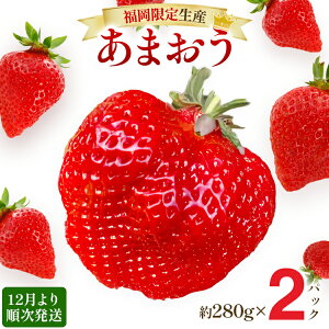 yӂ邳Ɣ[Łzy12菇z܂ OfTCYȏ 560gi280g×2pbNj  C`S  t[c ʕ ӂ邳Ɣ[ł uh  Y s\