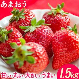 【ふるさと納税】期間限定 あまおう 1.5kg 250g×6パックいちご 苺 フルーツ 果物 くだもの 贈答 大粒 福岡県 福岡 九州 グルメ お取り寄せ 3月上旬～4月上旬頃出荷予定