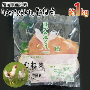 yӂ邳Ɣ[ŁzYn{u͂nǂvނ˓ 1kg Yn{u͂nǂvނ˓ 1kg