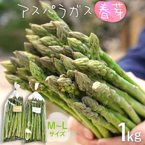 yӂ邳Ɣ[Łz\t AXp t M~LTCY 1kgi500g×2j 2026N3菇  AXpKX _ƒ  B O 