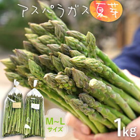 【ふるさと納税】数量限定 アスパラ 夏芽 M~Lサイズ 1kg（500g×2）予約受付 2024年6月～8月頃に順次発送 野菜 農家直送 アスパラガス 福岡 九州 グルメ お取り寄せ