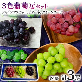 【ふるさと納税】3色葡萄房セット(シャインマスカット、ピオーネ、クイーンニーナ) ぶどう フルーツ ブドウ 葡萄 果物 マスカット 赤葡萄 黒葡萄 食べ比べ 1房600g前後 Vtuber ギフト 贈り物 甘い 完熟 3種セット