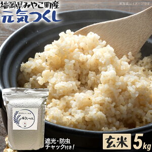 yӂ邳Ɣ[Łz ߘa7NY Iׂ C iāj 5kg `bNt `bN h ͂ ɂ   ݂₱Y  B O 