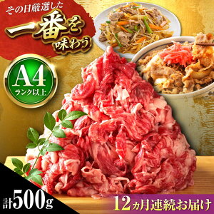 yӂ邳Ɣ[ŁzyS12ցzyA4`A5za ؂藎Ƃ 500g gx/MEAT PLUS[BGAB100]     a јa ؂藎Ƃ 肨Ƃ Y Y uߕ Ă 