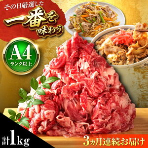 yӂ邳Ɣ[ŁzyS3ցzyA4`A5za ؂藎Ƃ 1kg (500g×2P) gx/MEAT PLUS[BGAB101]     a јa ؂藎Ƃ 肨Ƃ Y uߕ Ă 