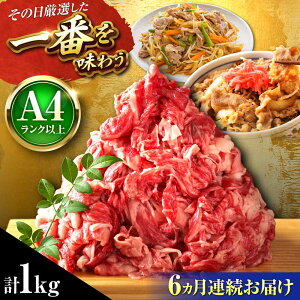 yӂ邳Ɣ[ŁzyS6ցzyA4`A5za ؂藎Ƃ 1kg (500g×2P) gx/MEAT PLUS[BGAB102]     a јa ؂藎Ƃ 肨Ƃ Y uߕ Ă 