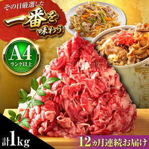 yӂ邳Ɣ[ŁzyS12ցzyA4`A5za ؂藎Ƃ 1kg (500g×2P) gx/MEAT PLUS[BGAB103]     a јa ؂藎Ƃ 肨Ƃ Y uߕ Ă 