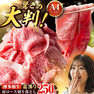 �y�ӂ邳�Ɣ[�Łz�yA4�`A5�z �����a�� �唻���~�� �ґ�؂藎�Ƃ� 250g �g�x��/�������MEAT PLUS[BGAB108] ���� �� ���� �a�� ���јa�� �؂藎�� ���Y ������