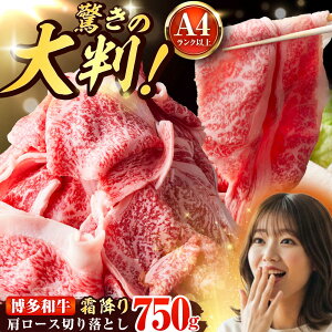 �y�ӂ邳�Ɣ[�Łz�yA4�`A5�z �����a�� �唻���~�� �ґ�؂藎�Ƃ� 750g (250g×3P) �g�x��/�������MEAT PLUS[BGAB110] ���� �� ���� �a�� ���јa�� �؂藎�� ���Y ������