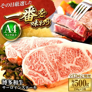 yӂ邳Ɣ[ŁzyS12ցzyA4`A5za T[CXe[L 500g(250g×2) gx/MEAT PLUS[BGAB114]