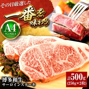 yӂ邳Ɣ[ŁzyA4`A5za T[CXe[L 500g ( 250g × 2 )gx/MEAT PLUS[BGAB012]    a јa Y T[C Xe[L Xe[L ~ Ԑg Ԑg