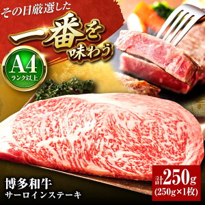 yӂ邳Ɣ[ŁzyA4`A5za T[CXe[L 250g 1 gx/MEAT PLUS[BGAB013] Xe[L    јa a T[C Y Mtg v[g 蕨 uh 