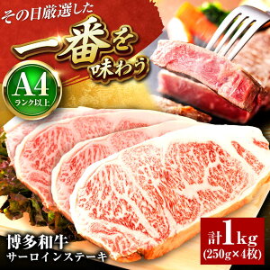 yӂ邳Ɣ[ŁzyA4`A5za T[CXe[L 1kg ( 250g × 4 ) gx/MEAT PLUS[BGAB014]   a  T[C Xe[L Y uh Ԑg lC Ⓚ  j 