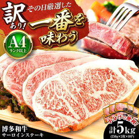 【ふるさと納税】【訳あり】【A4〜A5】 博多和牛 サーロインステーキ 5kg (250g×2枚×10P) 吉富町/株式会社MEAT PLUS[BGAB015] 牛肉 肉 お肉 和牛 黒毛和牛 ブランド牛 サーロイン ステーキ ステーキ肉 霜降り 大容量 赤身 赤身肉 冷凍 人気 おすすめ 訳あり 食品 わけあり