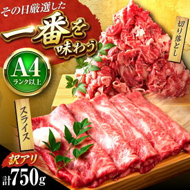 【ふるさと納税】【訳あり】【A4〜A5】 博多和牛 スライス & 切り落とし セット 750g 吉富町/株式会社MEAT PLUS[BGAB020] お肉 肉 牛肉 和牛 黒毛和牛 国産 赤身 赤身肉 肩ロース モモ バラ しゃぶしゃぶ 美味しい 柔らかい すき焼き すき焼き肉 牛丼 わけあり 訳あり 食品