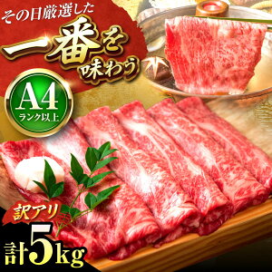 yӂ邳Ɣ[Łzy󂠂zyA4`A5z a Ԃ Ă 5kg (500g×10P) gx/MEAT PLUS[BGAB021]     јa a Y T[C Ԃԓ Ă