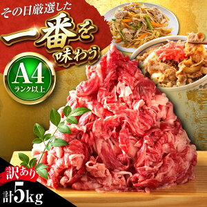 yӂ邳Ɣ[Łzy󂠂zyA4`A5z a ؂藎Ƃ 5kg (500g×10pbN) gx/MEAT PLUS[BGAB040]     a јa Y Ԑg ؗ 肨Ƃ e uߕ 