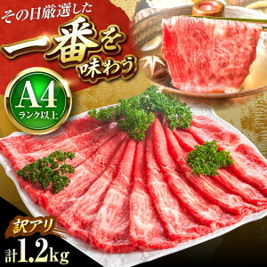 yӂ邳Ɣ[Łzy󂠂zyA4`A5z a Ԑg ~ 1.2kg (  E  ) Ԃ Ă gx/MEAT PLUS[BGAB054]    јa a Y ~ Ă 