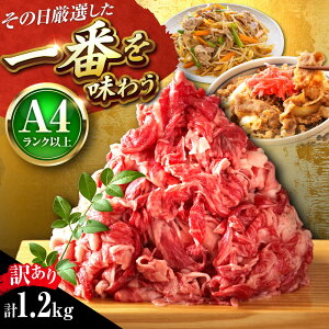yӂ邳Ɣ[ŁzyA4~A5zy󂠂z a ؂藎Ƃ 1.2kg (600g×2P) gx/MEAT PLUS[BGAB055]     a јa ؗƂ 肨Ƃ Y Y uߕ Ă 