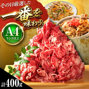 yӂ邳Ɣ[ŁzyA4`A5z a ؂藎Ƃ 400g gx/MEAT PLUS[BGAB062]     a Ԑg јa ؂藎Ƃ 肨Ƃ ؗ  Y uߕ Ă 