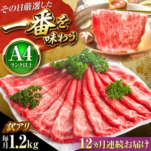yӂ邳Ɣ[ŁzyS12ցzy󂠂zyA4`A5za Ԑg ~ 1.2g (E) Ԃ Ăp gx/MEAT PLUS[BGAB091]  јa a Y ~ 