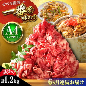 yӂ邳Ɣ[ŁzyS6ցzy󂠂zyA4~A5za ؂藎Ƃ 1.2kg (600g×2P) gx/MEAT PLUS[BGAB093]   a јa ؗƂ 肨Ƃ Y uߕ Ă 