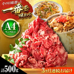 yӂ邳Ɣ[ŁzyS3ցzyA4`A5za ؂藎Ƃ 500g gx/MEAT PLUS[BGAB098]     a јa ؂藎Ƃ 肨Ƃ Y Y uߕ Ă 