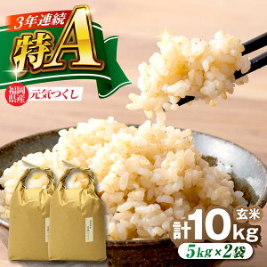 yӂ邳Ɣ[ŁzY C  10kg (5kg×2) gx/ЃxltBX[BGAF020]